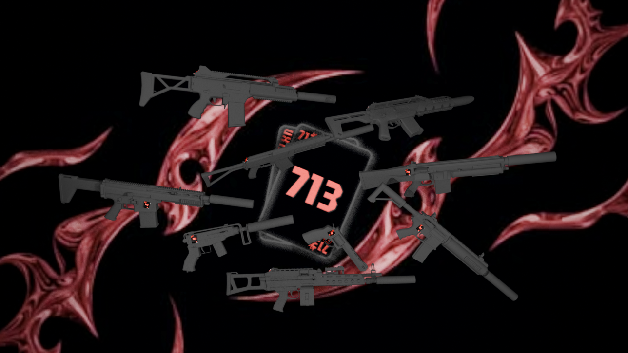 713CLNX GUNPACK